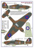 AMLD72053 310 Squadron RAF