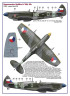 AMLD72053 310 Squadron RAF