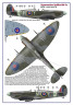 AMLD72053 310 Squadron RAF