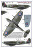 AMLD72053 310 Squadron RAF