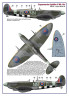 AMLD72053 310 Squadron RAF