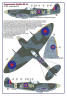 AMLD72053 310 Squadron RAF