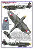 AMLD72053 310 Squadron RAF
