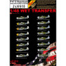 248910 P-47D Razorback