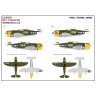 248910 P-47D Razorback