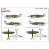 248910 P-47D Razorback