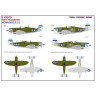 248910 P-47D Razorback