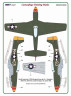 AMLM 49 039 P-51D Mustang