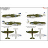 HGW 572025 P/47D RAZORBACK Вокруг Новой Гвинеи ч. 3 - Декаль 1/72