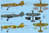 kz6c399sgj_large.jpg