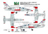 X48025 L-39X-11 (L-39ZO) /Parizanka/ Aerosalon Pariz 1977 маски для покраски