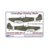 AMLM 73 006 S.Spitfire Mk.I,II The "A" Камуфляж