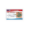 AMLA 48 002  P-40B/C