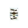AMLA 48 006  Fiat G.502nd series лыжи