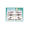 AMLA 72 001 Fokker D.XXI лыжи