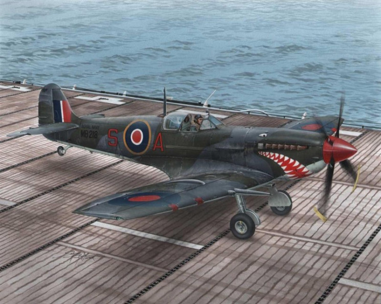 SH48102  Supermarine Seafire Mk.II  / Torch & Avalanche /