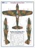 AMLM 73 021 Defiant Mk.I "A" Камуфляж