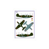 AMLC 2 003 Americans in Stalin's Sky, Часть 3 . / Декали , Маски  на P-40C & P-39N