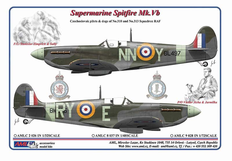AMLC 9 028 Czechoslovak pilots & dogs of No.310 and No.313 Squadron RAF