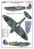 AMLC 9 028 Czechoslovak pilots & dogs of No.310 and No.313 Squadron RAF