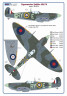 AMLC 9 028 Czechoslovak pilots & dogs of No.310 and No.313 Squadron RAF