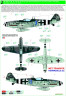 248069 Messerschmitt Bf 109G-14 (AS)